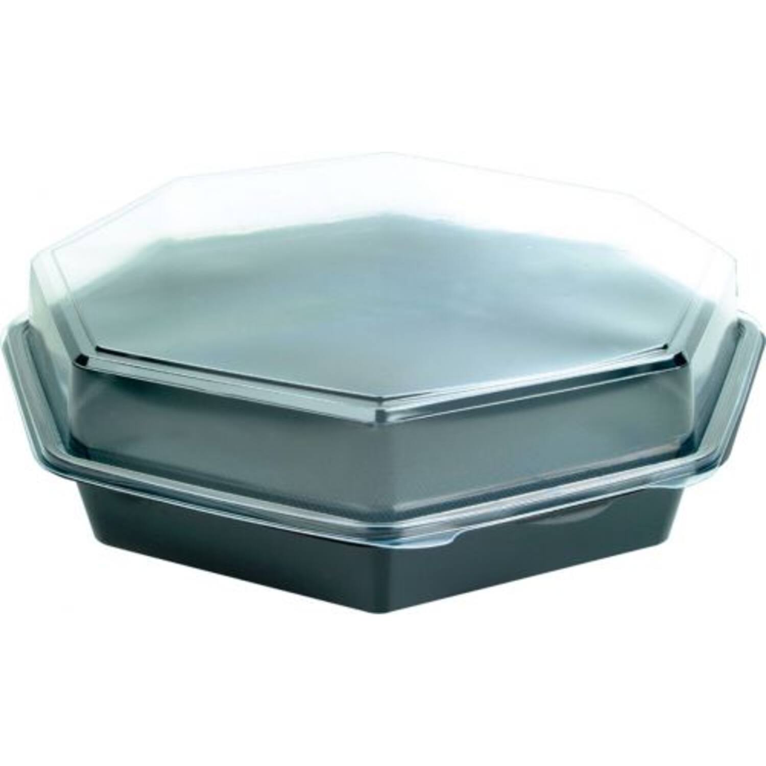 OCTAVIEW BOX ZW 305x60 75st