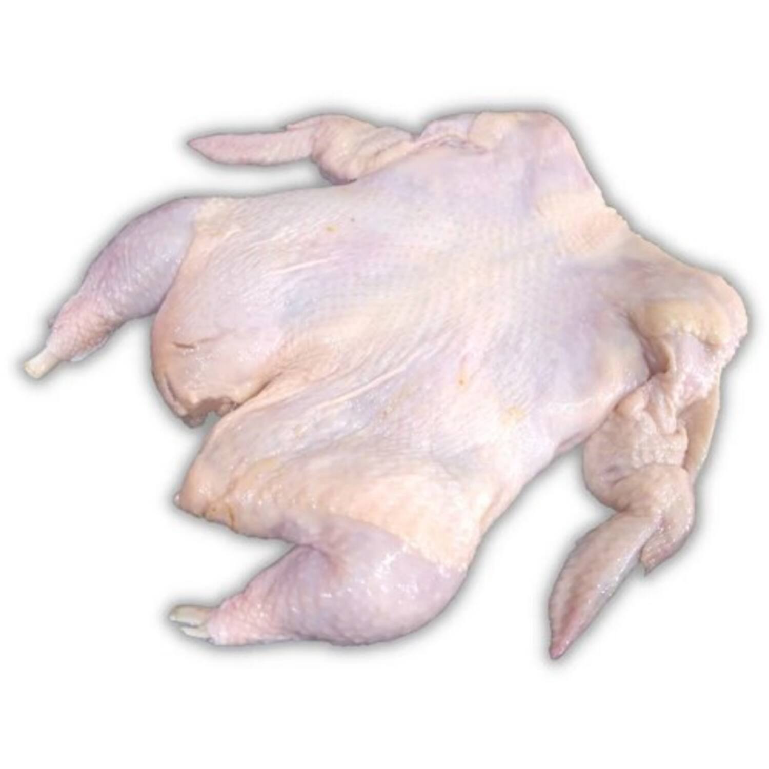 UITGEBEENDE KIPPEN 5kg
