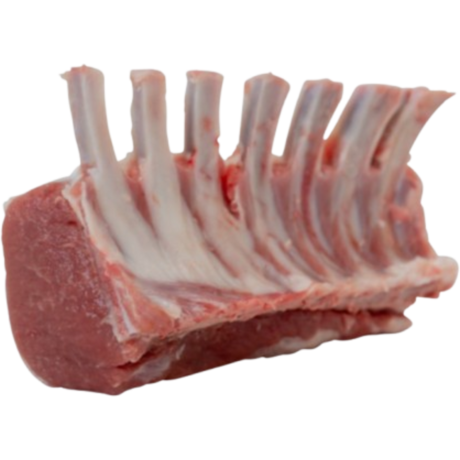 LAMSRACKS (2st) VERS-VAC