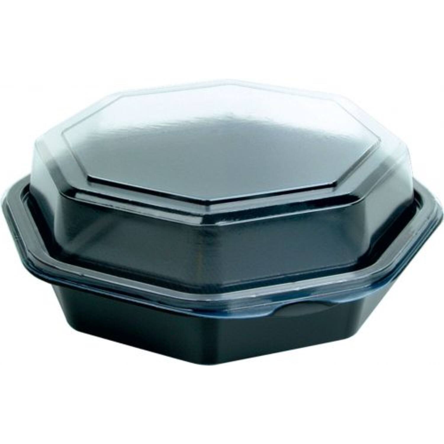 OCTAVIEW BOX 16x16x6  ZW 405st
