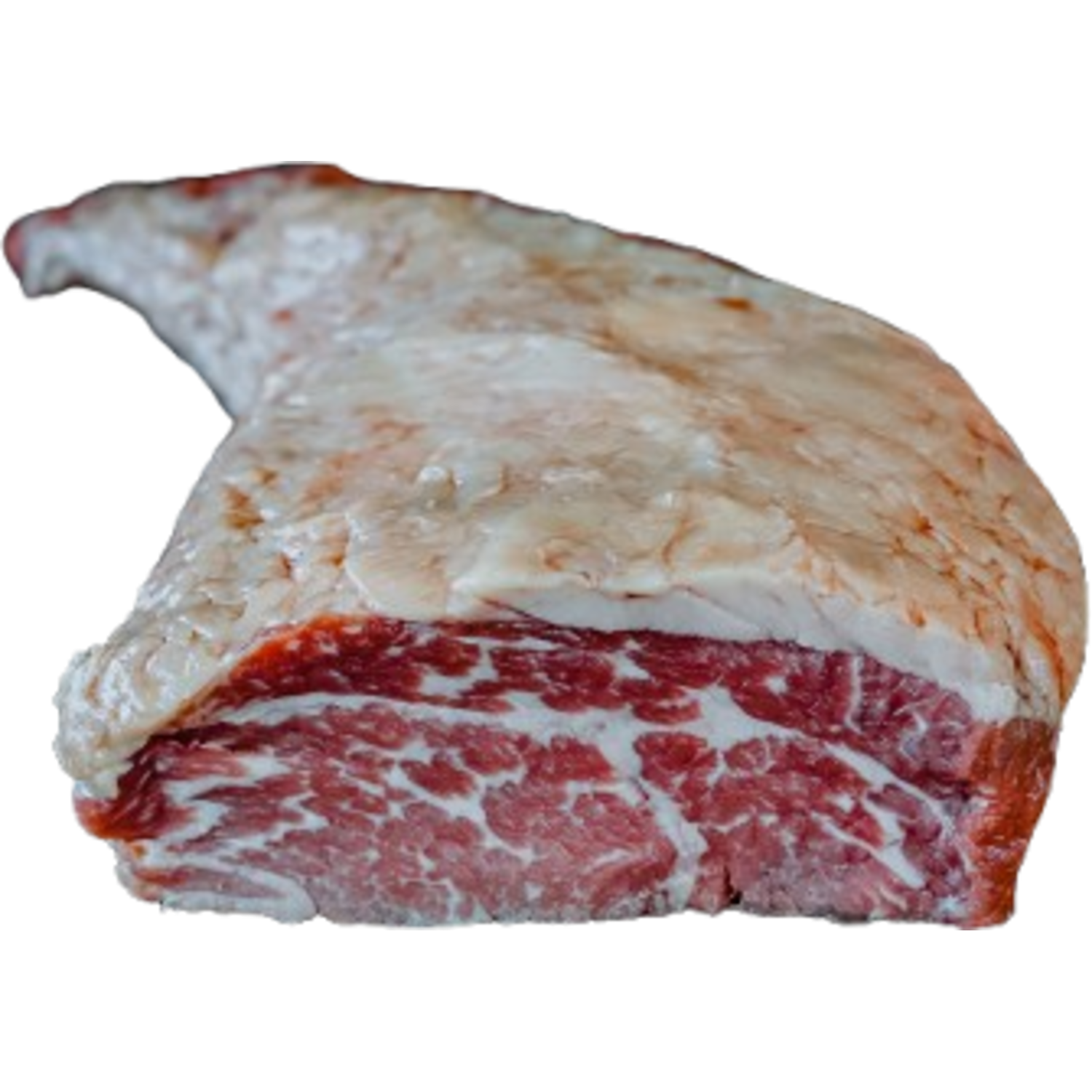 BLACK ANGUS EZEL