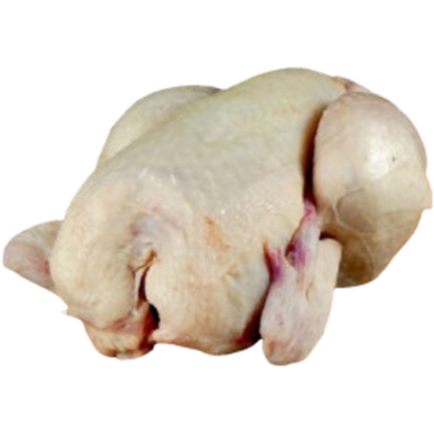 POUSSINS GEGAARD 450gr