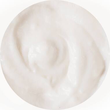 DS SAUCE CARBONARA STYLE 2.5kg