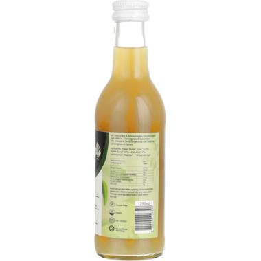 GINGA MATCHA (READY2DRINK) 15x250ml