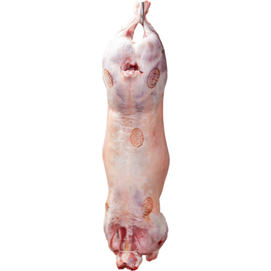ZUIGLAM 15-18kg POLDERLAM