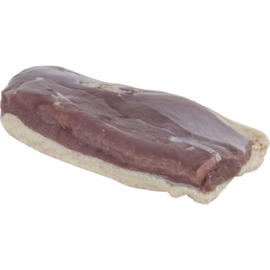 TAMME EENDFILE CANETTE  12x2x200gr