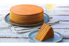 SPEKKOEK MANGO PASSIEVRUCHT 4x570gr