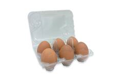 EIERDOOS TRANSPARANT VOOR 6 EIEREN