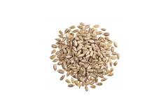 ZONNEBLOEMPITTEN 1kg