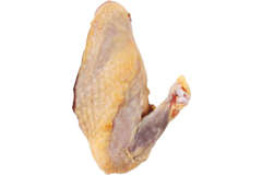 PARELHOENFILET MET STICK 2x ca150gr