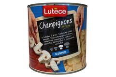 CHAMPIGNON SCHIJF BLIK  6x1ltr