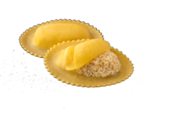 RAVIOLONI REYPENAER 1kg DPV